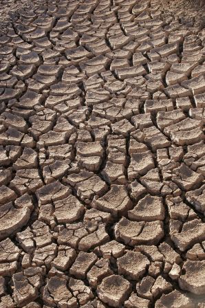La Californie fait face à une abominable sécheresse