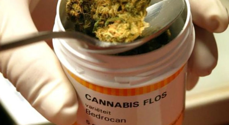 Cannabis médical, France