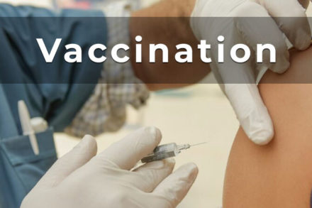 prime, vaccination