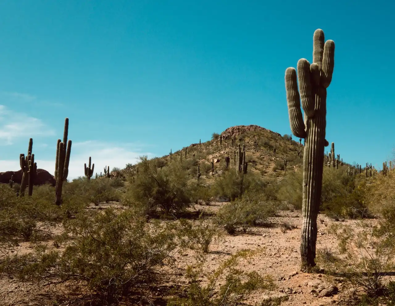 Que faire en Arizona
