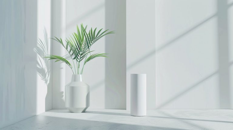 Comment Purifier sa Maison