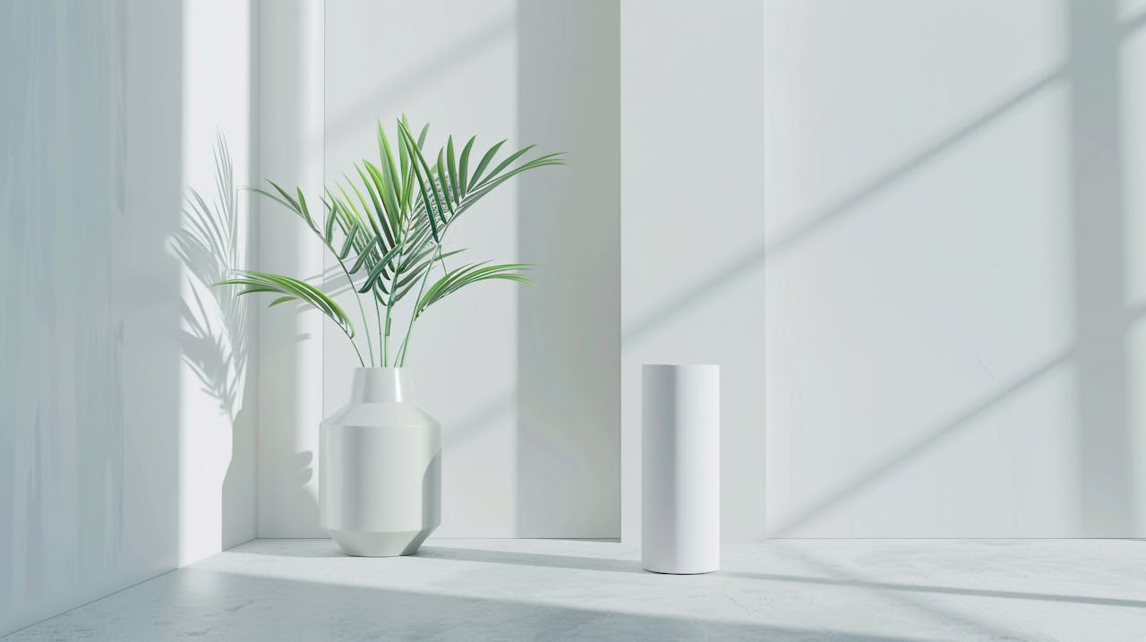 Comment Purifier sa Maison